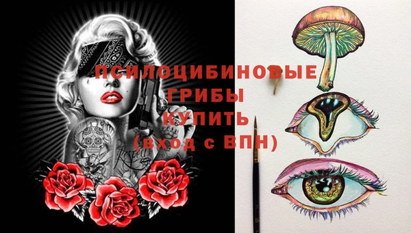 соль курить ск Белокуриха