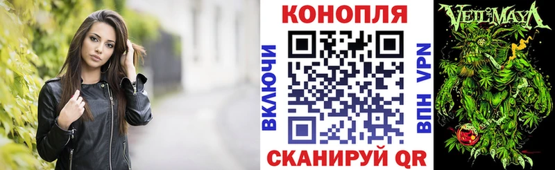 Конопля планчик где купить наркоту Колпашево
